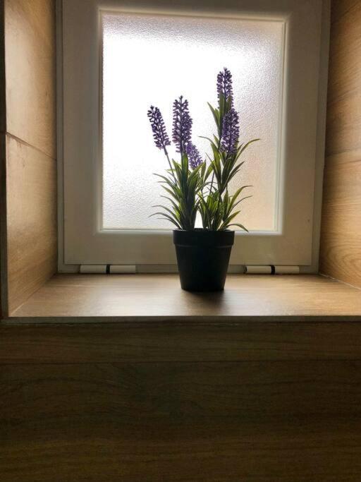 A&C Cozy Apartment Elvas Εξωτερικό φωτογραφία